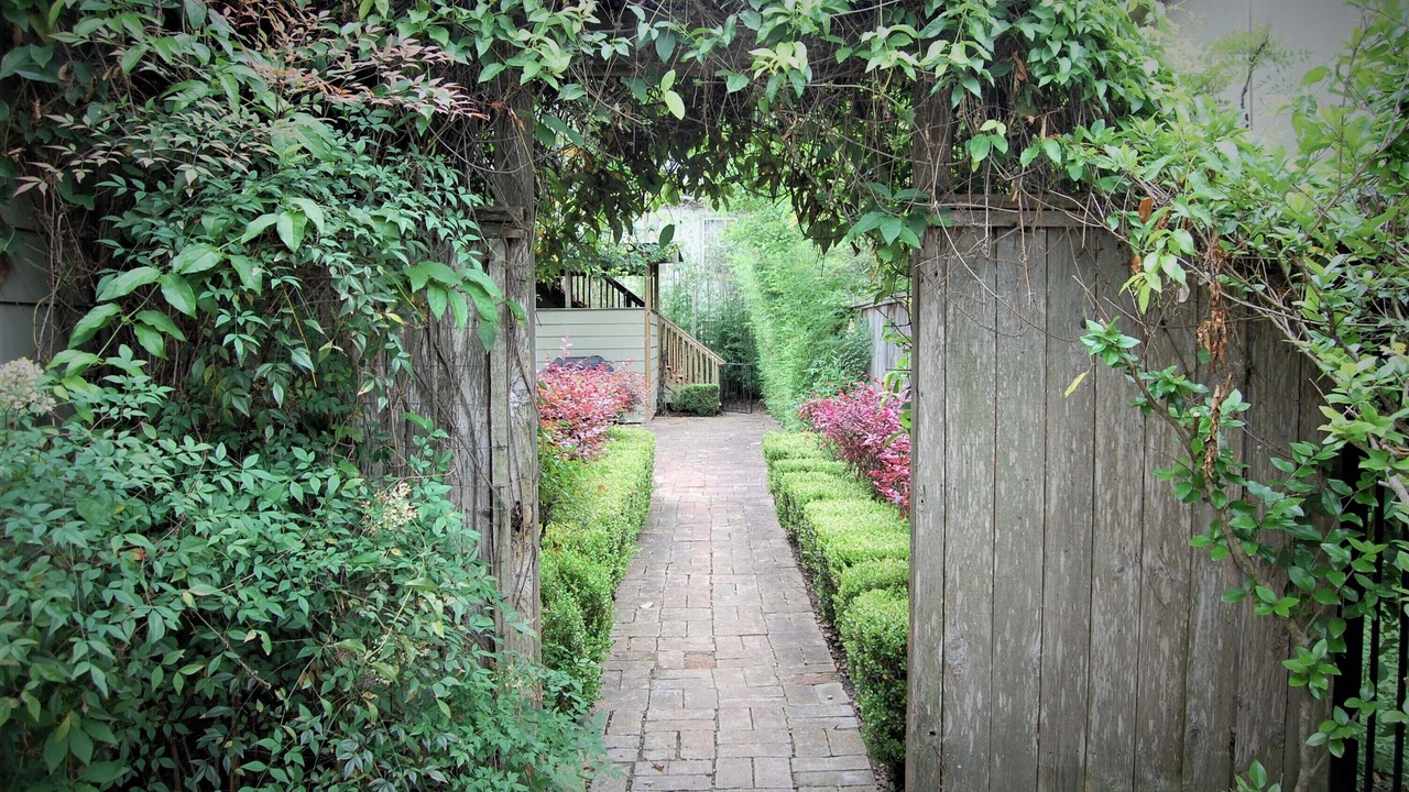 Photo of Outdoor in North University