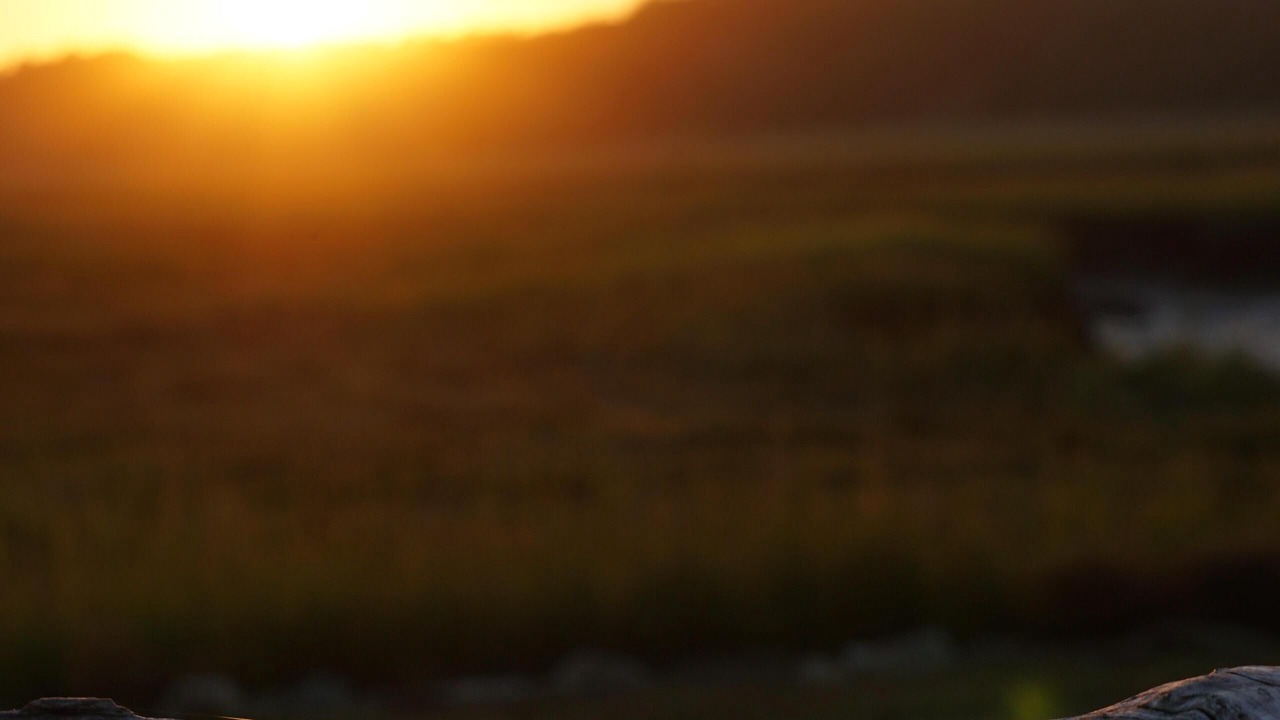 Photo of Others in Wells Beach