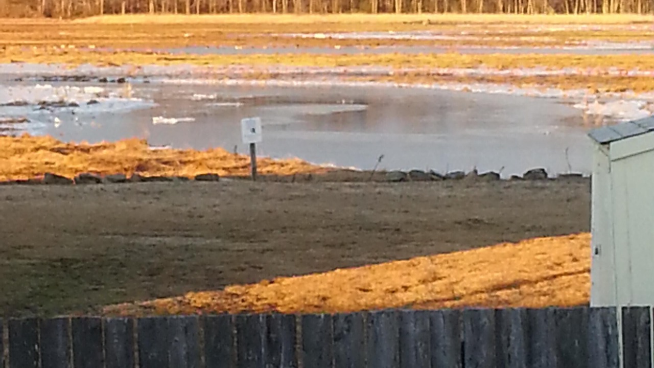 Photo of Others in Wells Beach