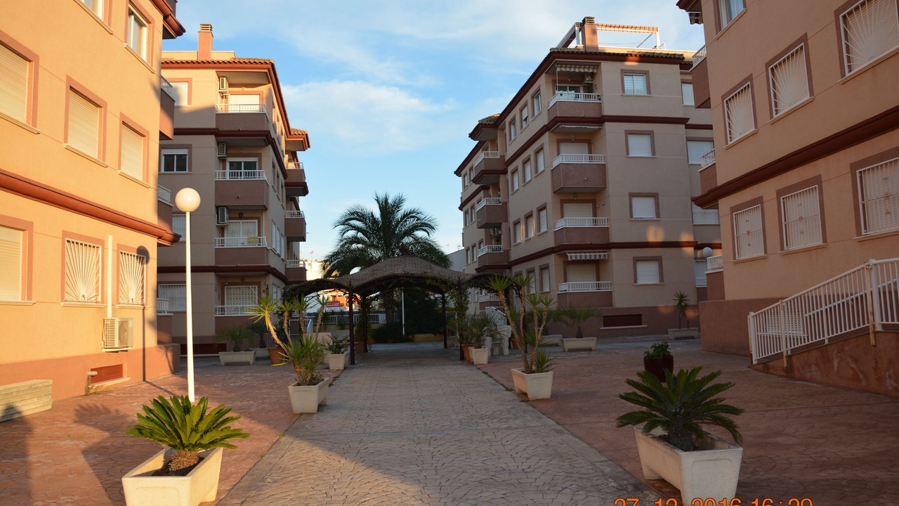Photo of Outdoor in Algorfa