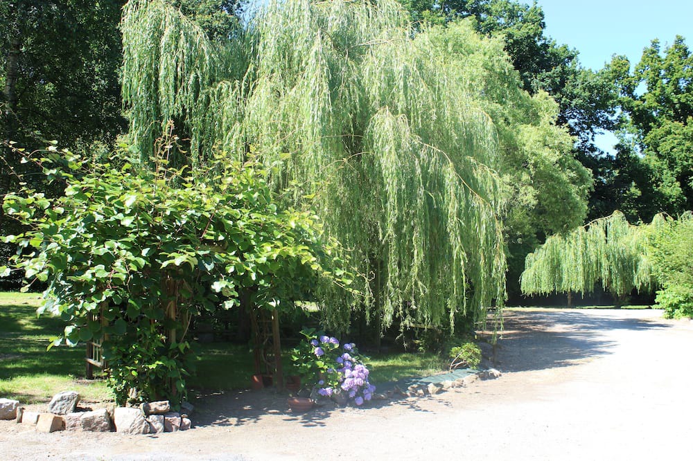 Photo of Outdoor in Saint-Pierre-de-Plesguen