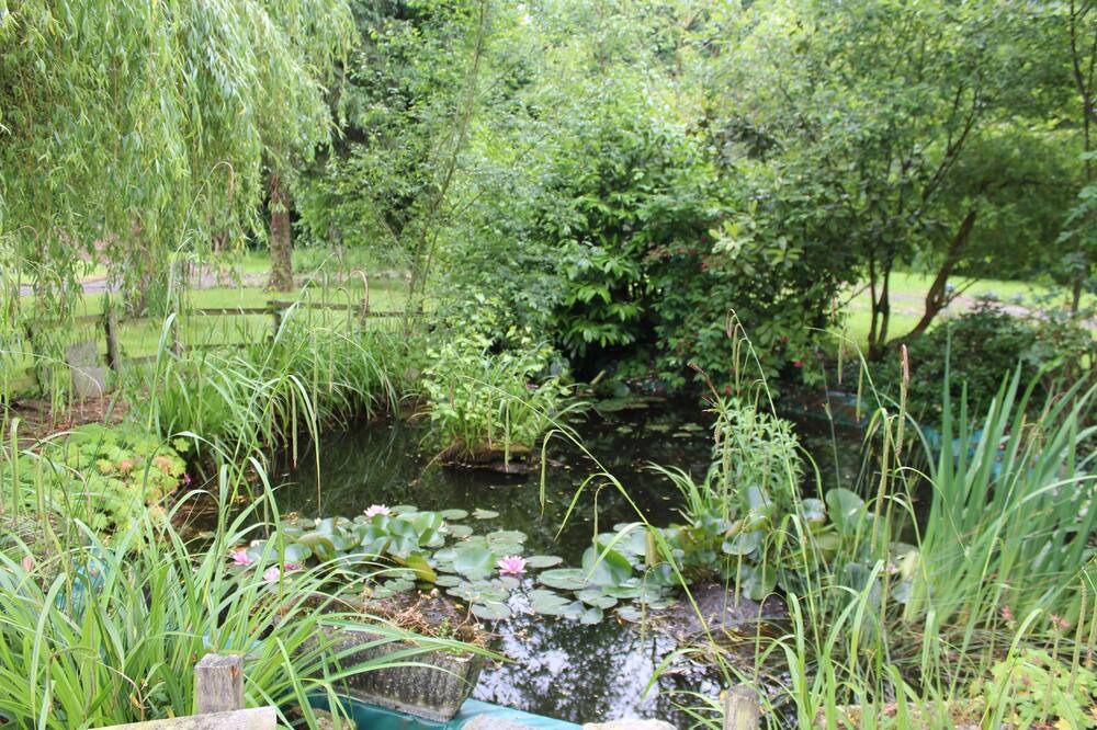 Photo of Outdoor in Saint-Pierre-de-Plesguen