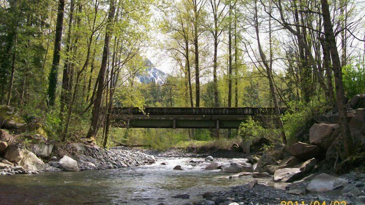 Photo of Others in Gold Bar