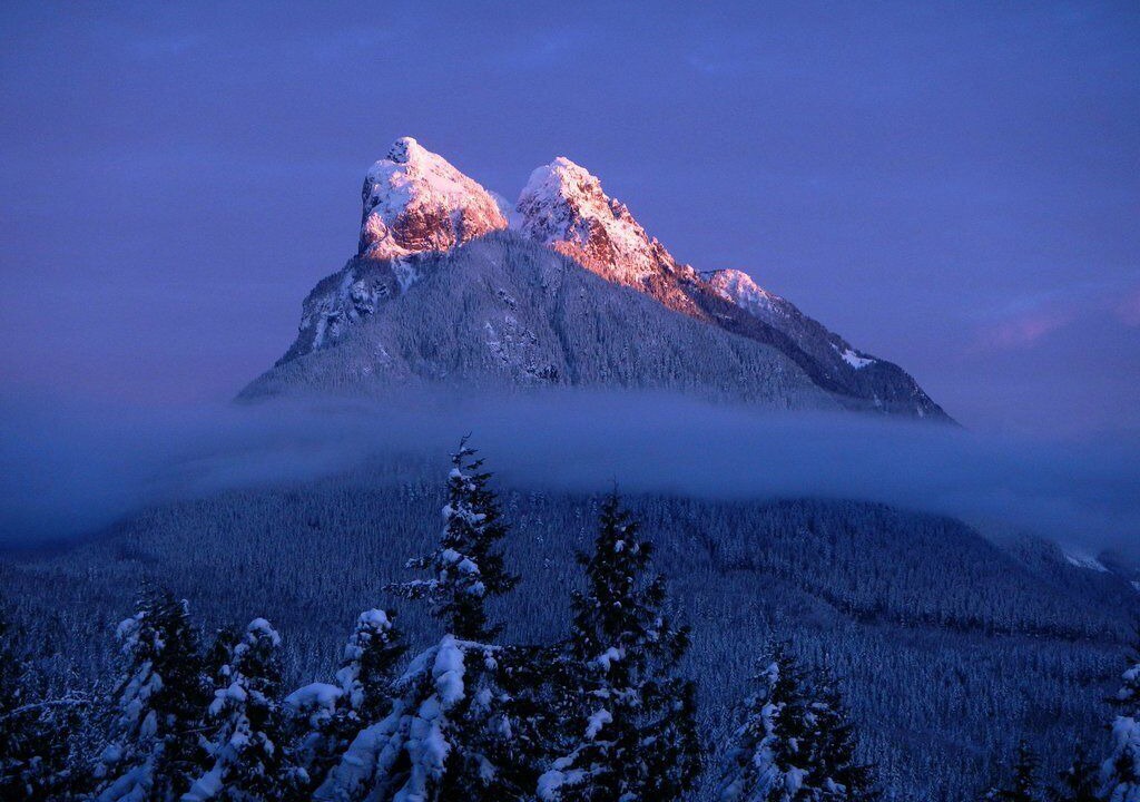 Photo of Others in Gold Bar