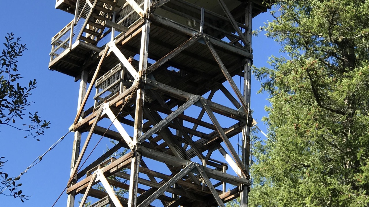 Photo of Outdoor in Gold Bar