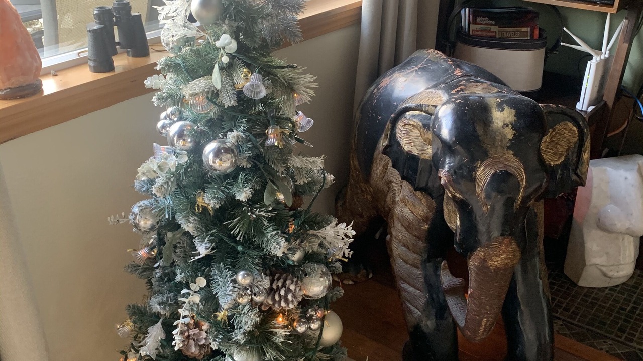 Photo of Others in Gold Bar