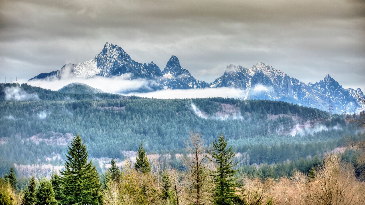 Photo of Patio Balcony in Gold Bar