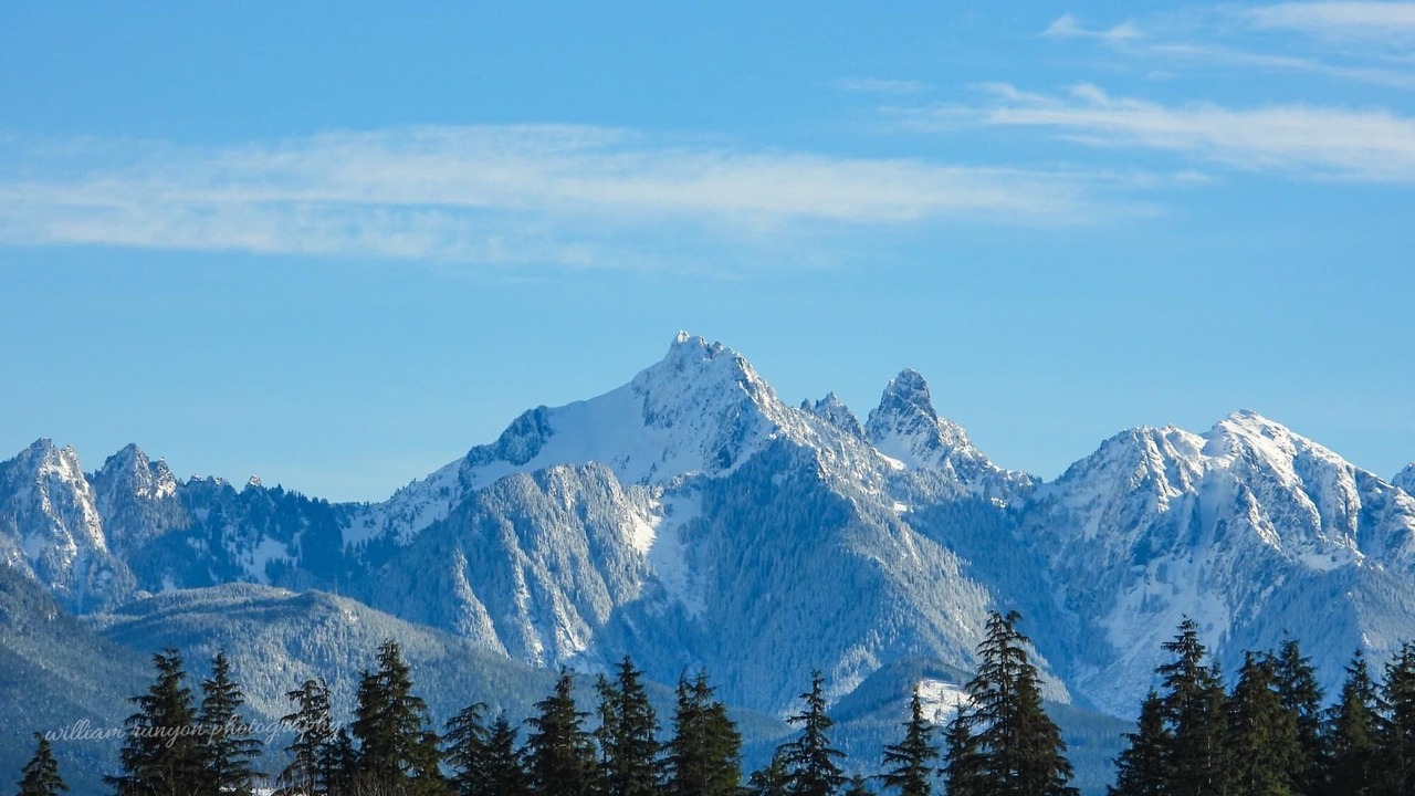 Photo of Others in Gold Bar