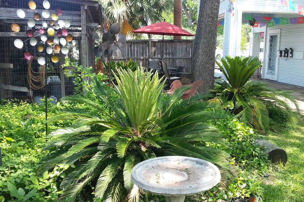 Photo of Outdoor in Alta Vista