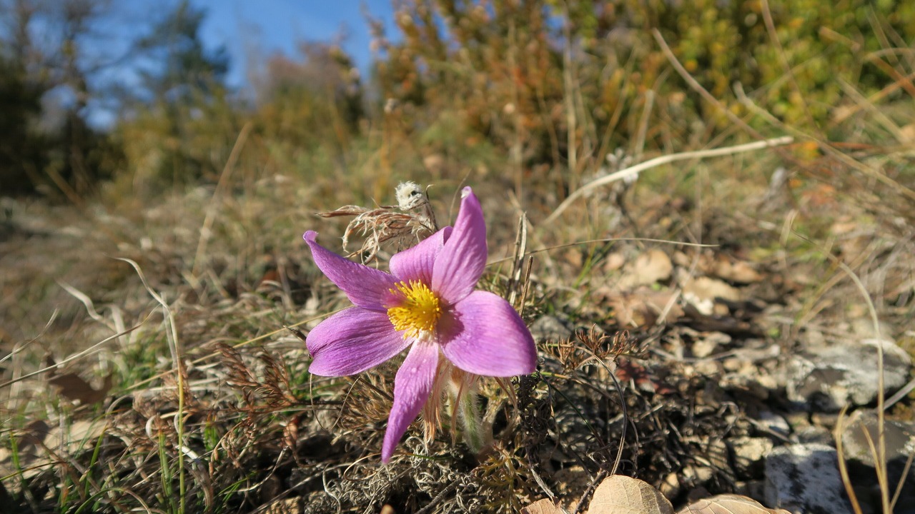 Photo of Outdoor in La Malene