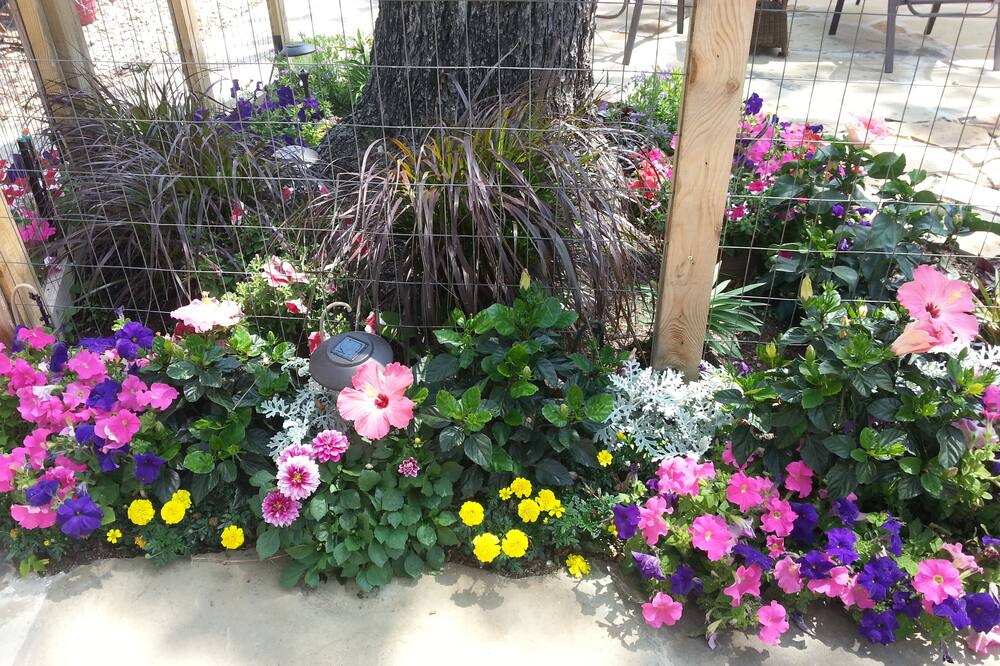 Photo of Outdoor in Alta Vista