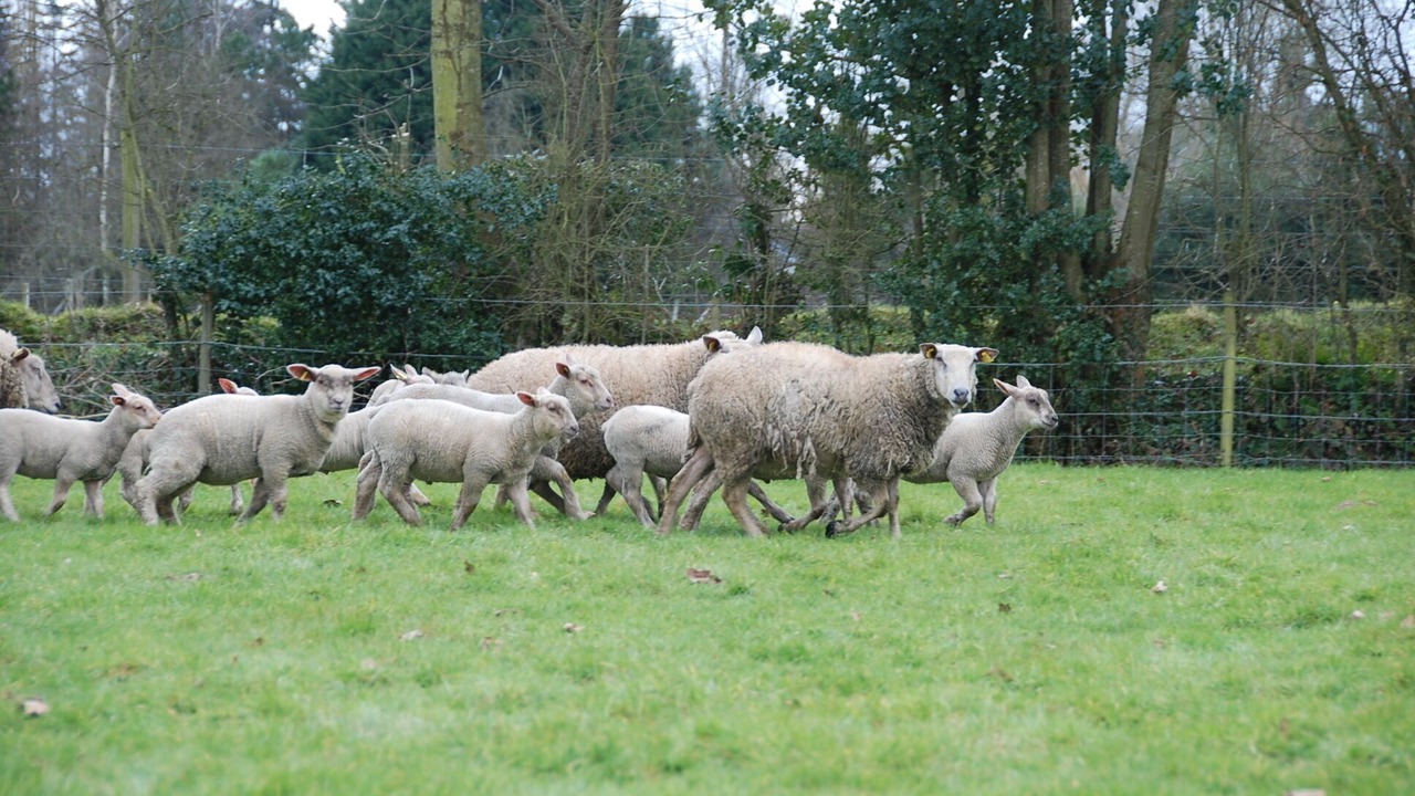 Photo of Outdoor in Moyaux