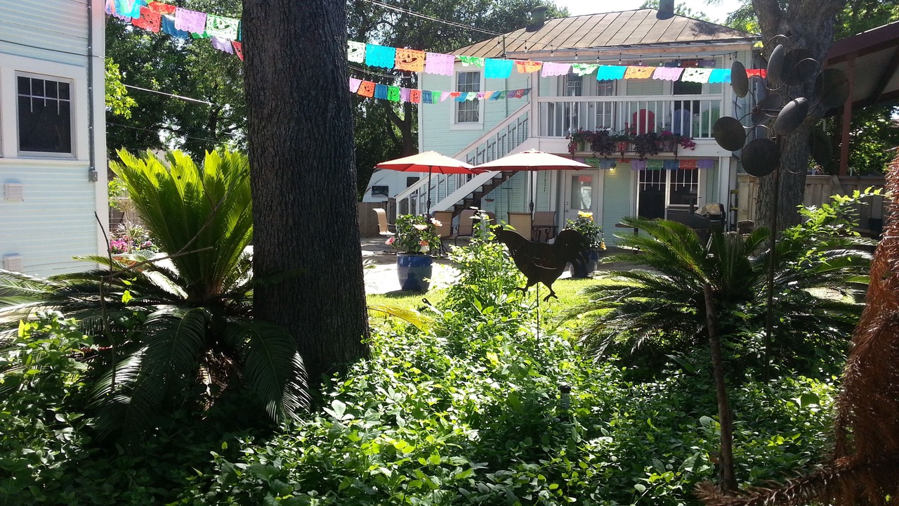 Photo of Outdoor in Alta Vista