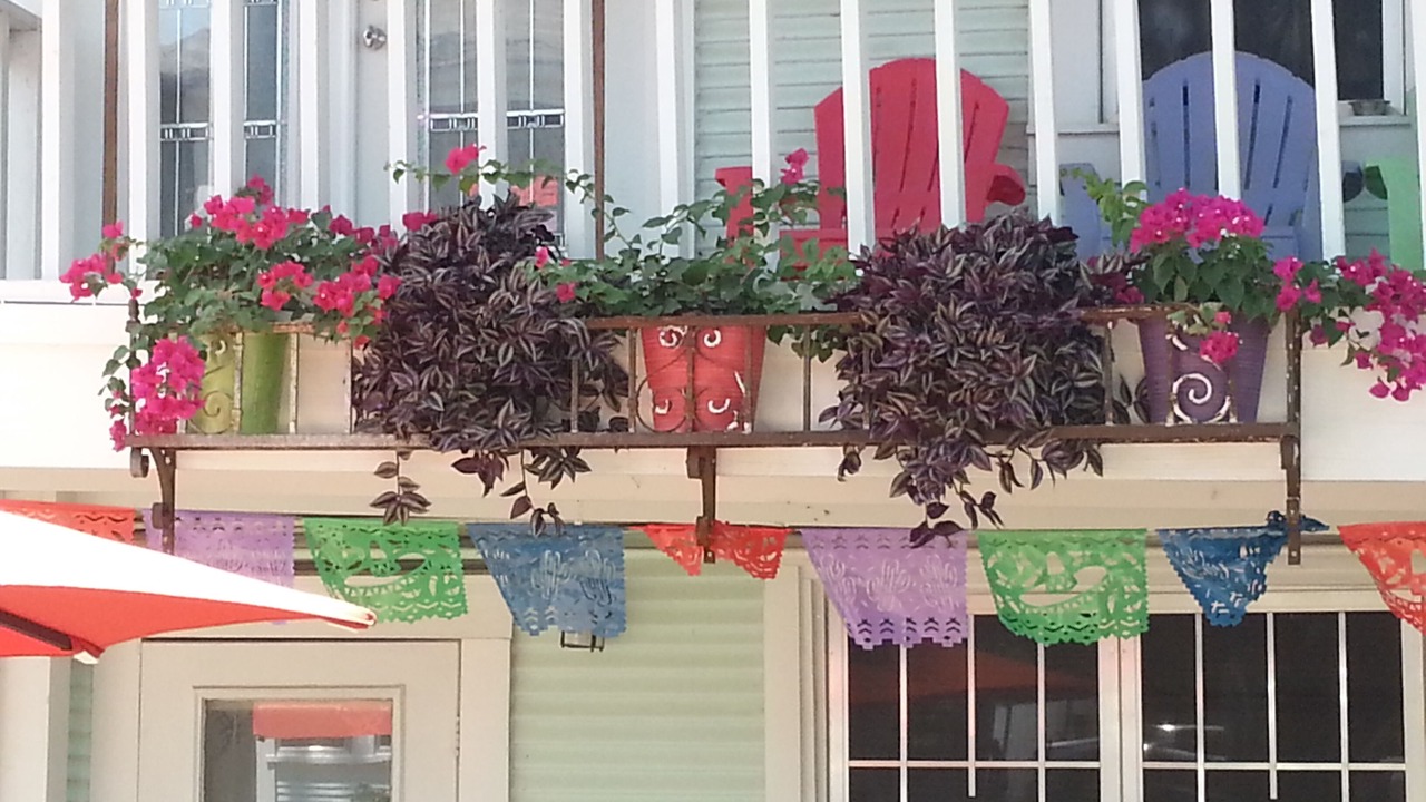 Photo of Outdoor in Alta Vista