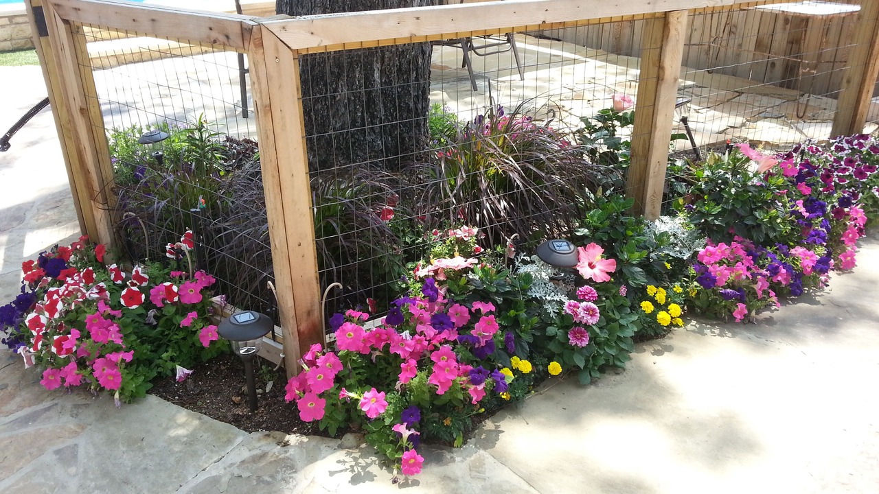 Photo of Outdoor in Alta Vista