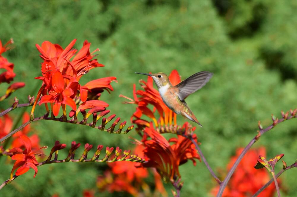 Photo of Others in Snohomish