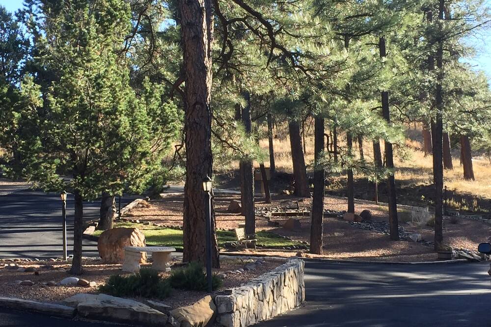 Photo of Others in Ruidoso
