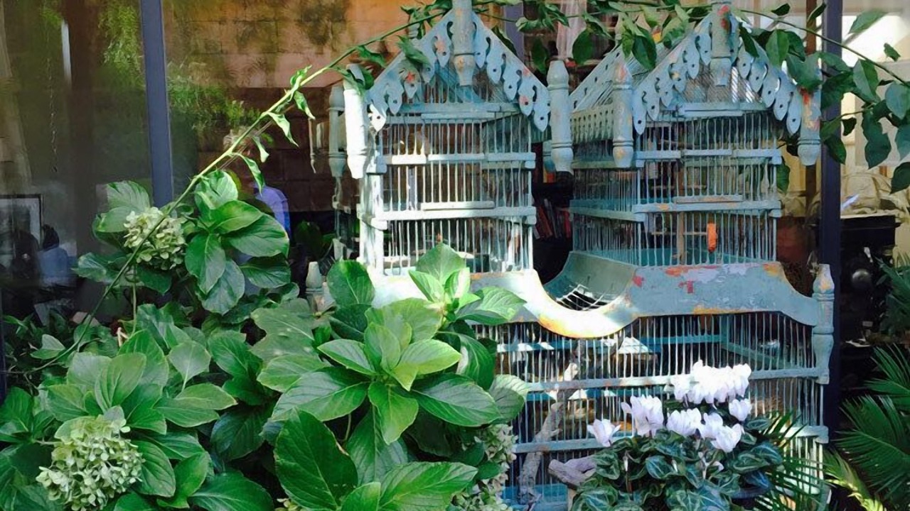 Photo of Patio Balcony in Faubourg