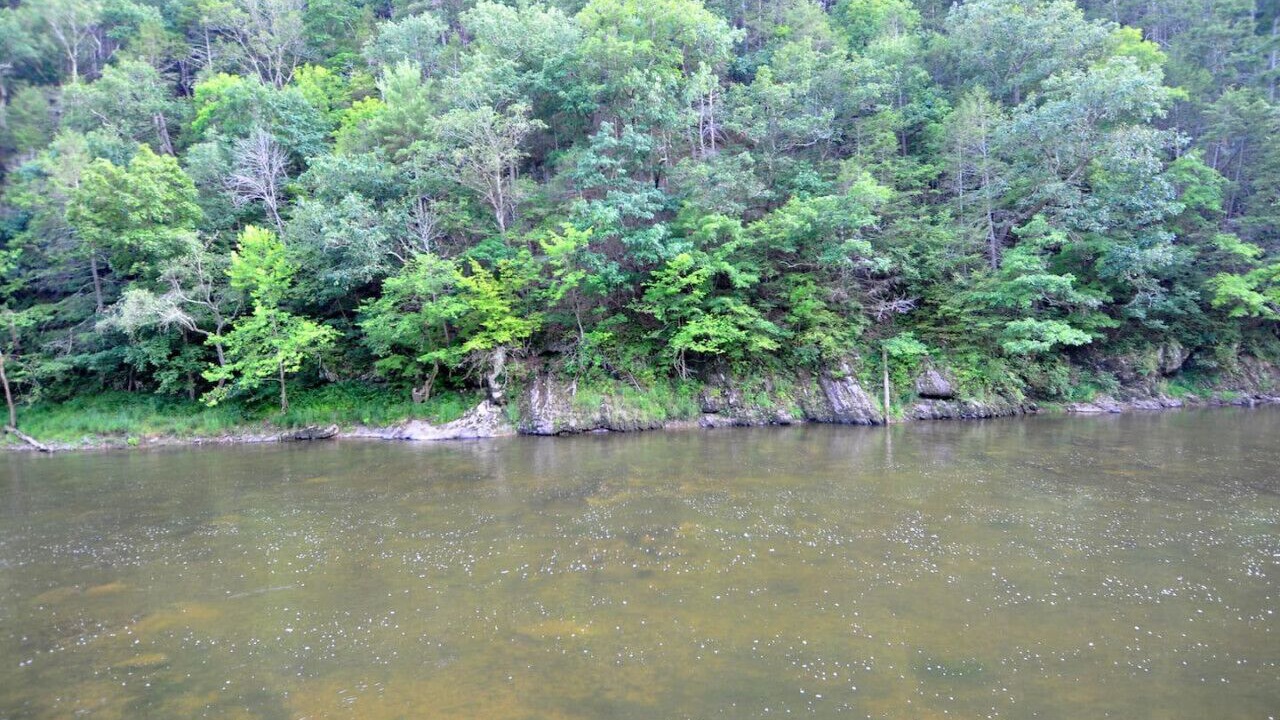 Photo of Outdoor in Great Cacapon