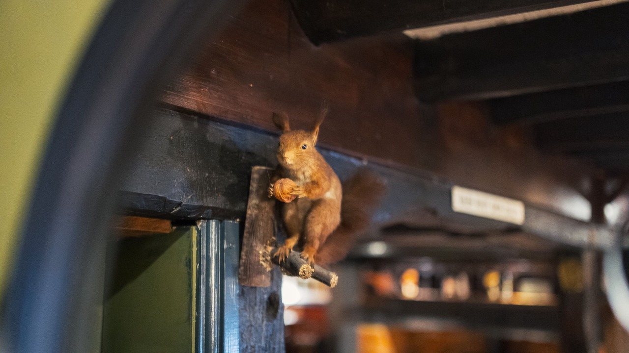 Photo of Bedroom in Hurstbourne Tarrant