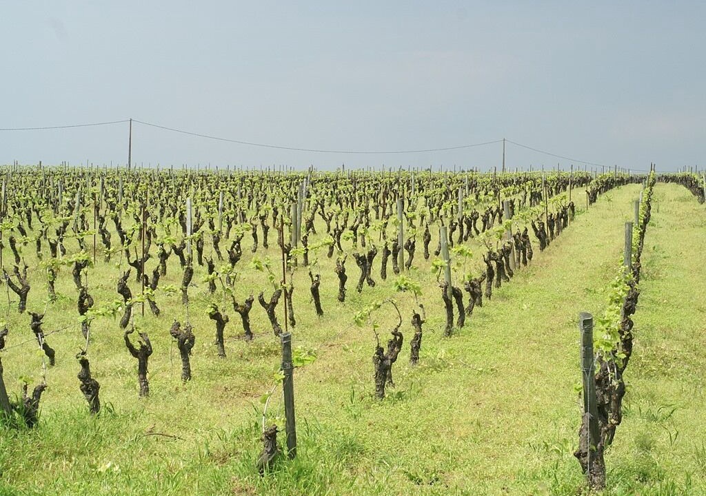 Photo of Outdoor in Le Pallet