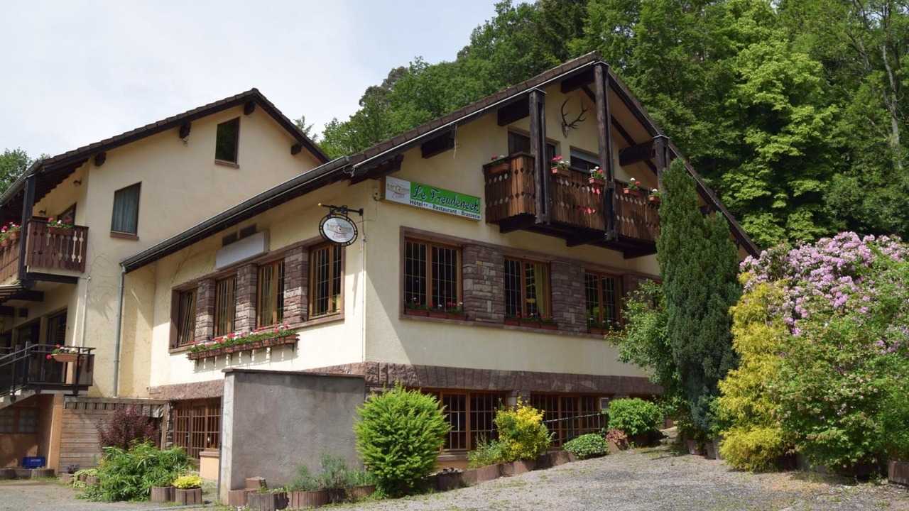 Photo of Outdoor in Wangenbourg-Engenthal