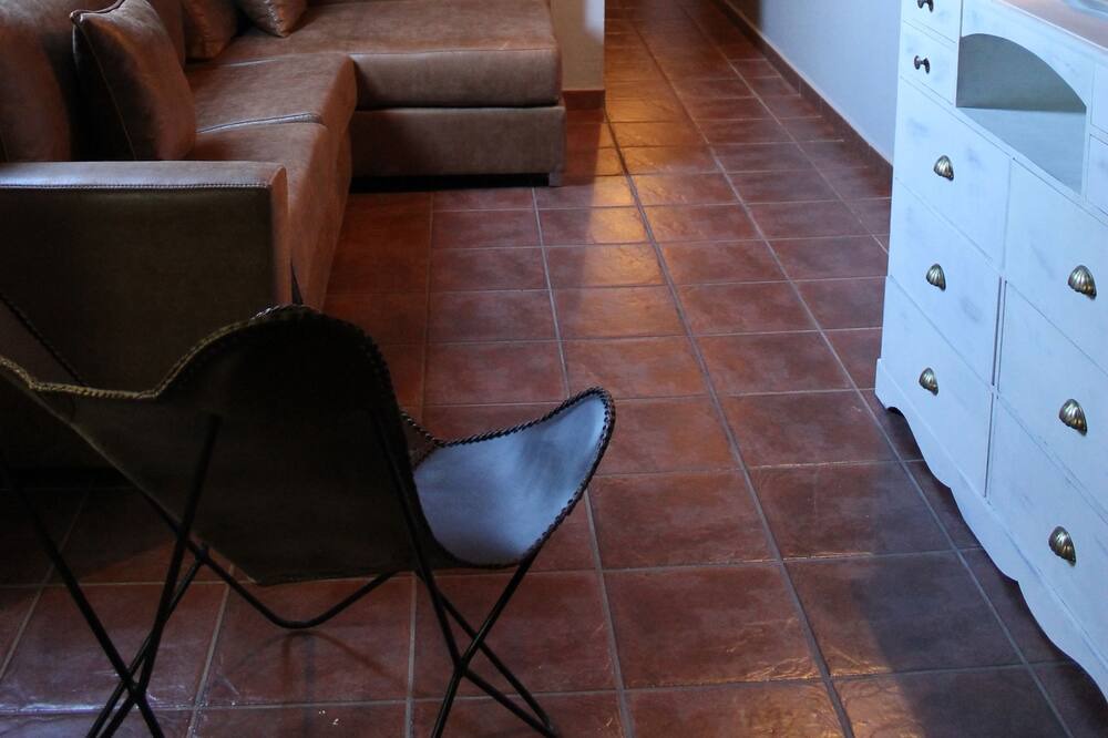 Photo of Livingroom in Vielha