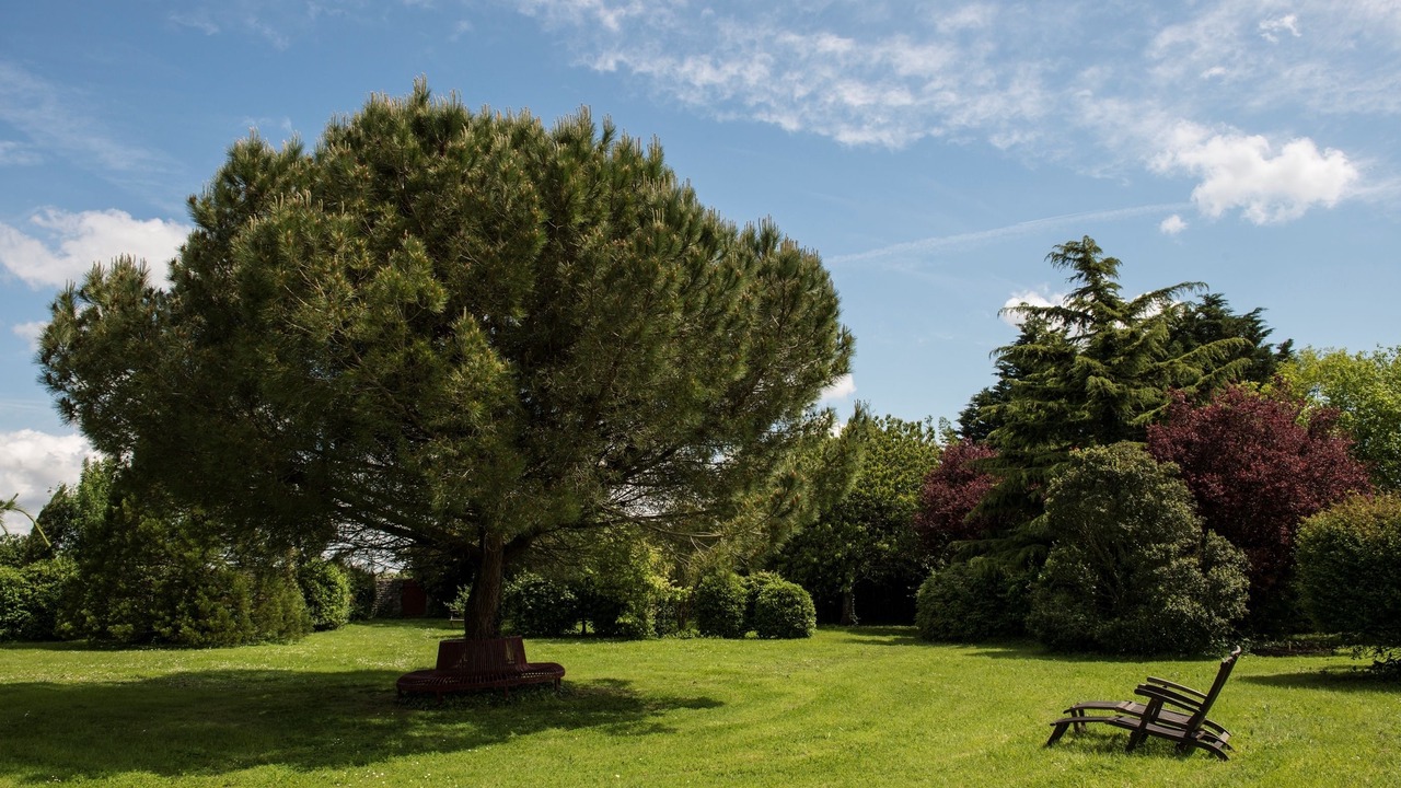 Photo of Outdoor in Moreilles