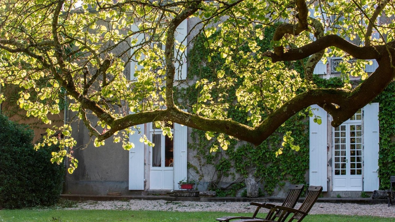 Photo of Outdoor in Moreilles
