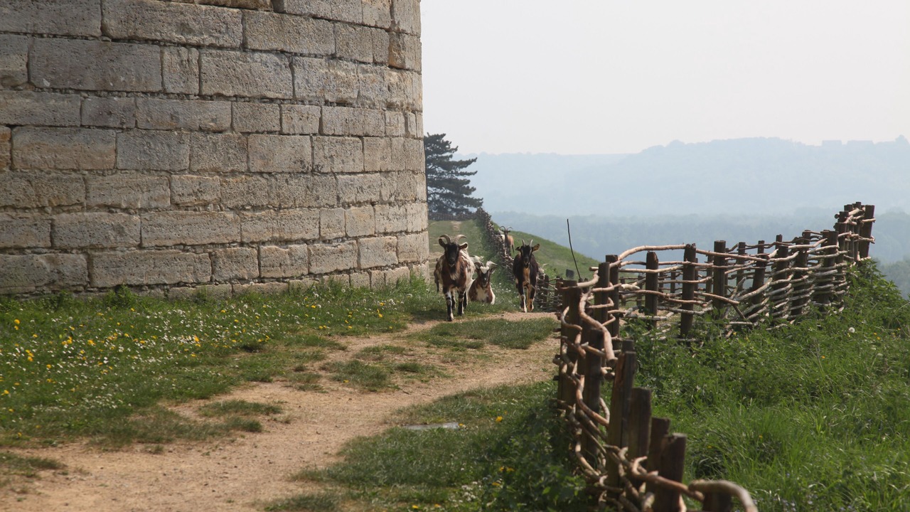 Photo of Outdoor in Coucy-le-Chateau-Auffrique