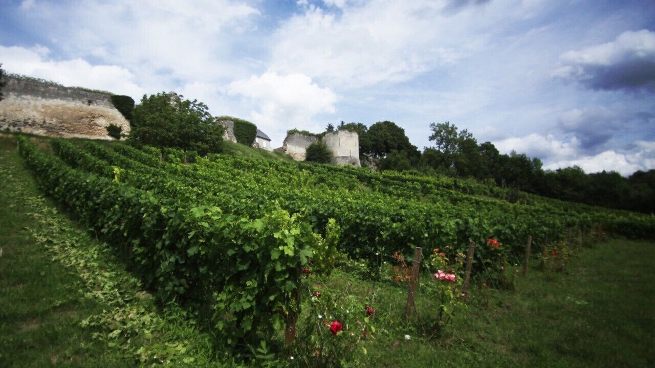 Photo of Outdoor in Coucy-le-Chateau-Auffrique
