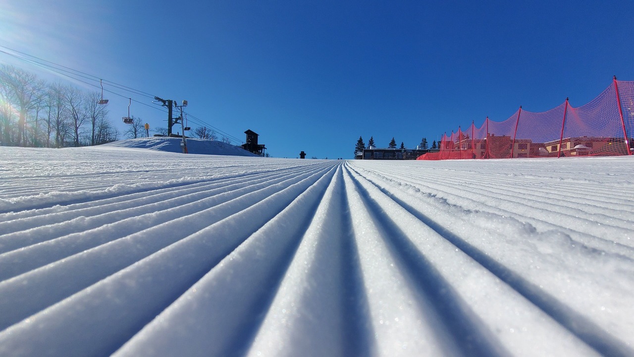 Photo of Others in Wakefield