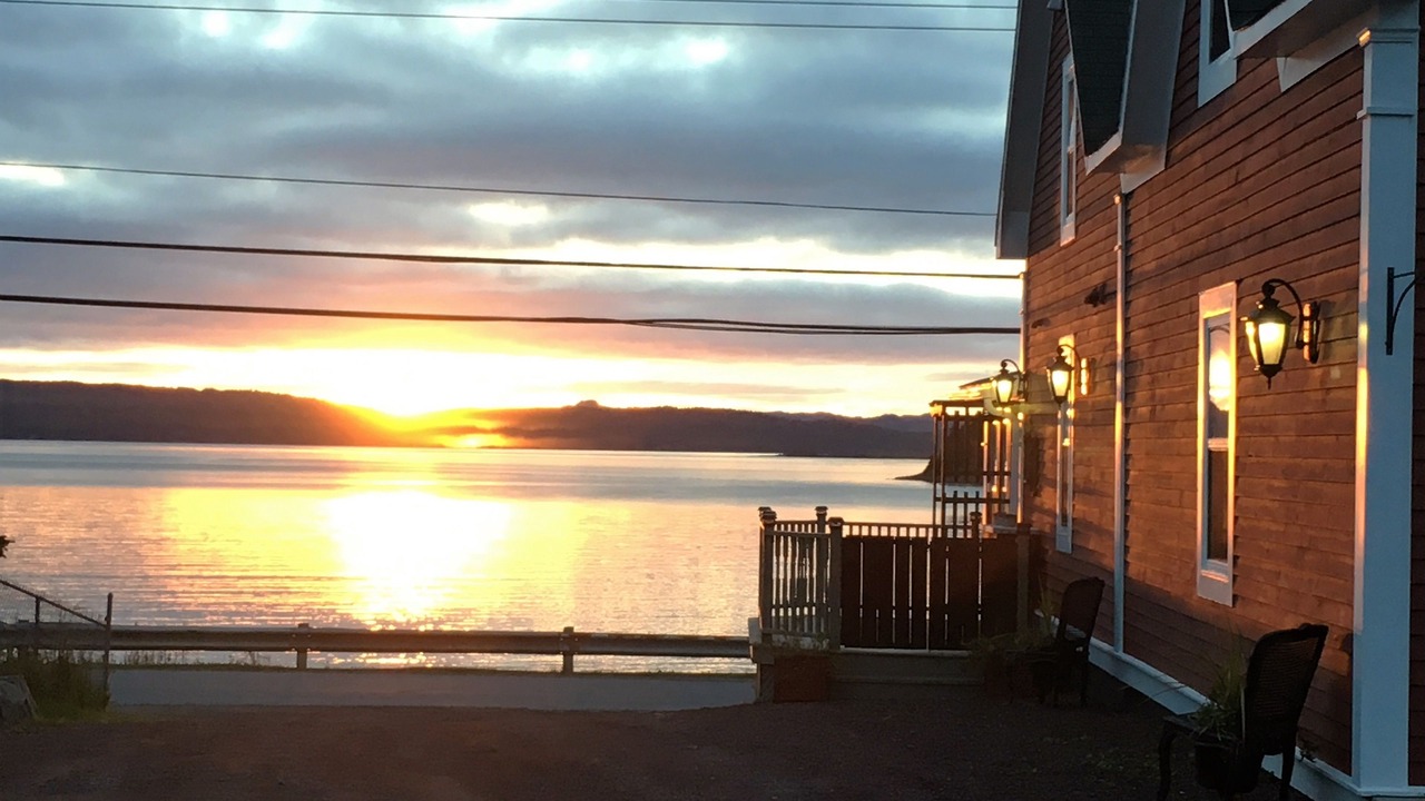 Photo of Others in Dildo