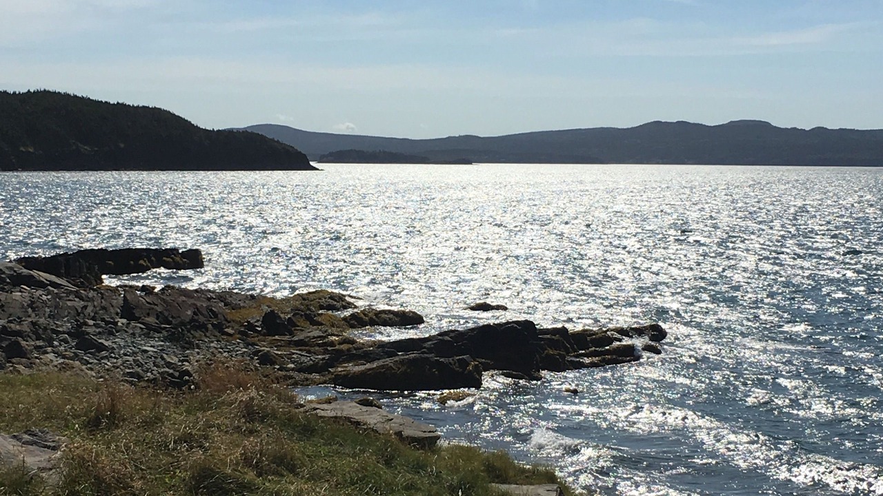 Photo of Others in Dildo