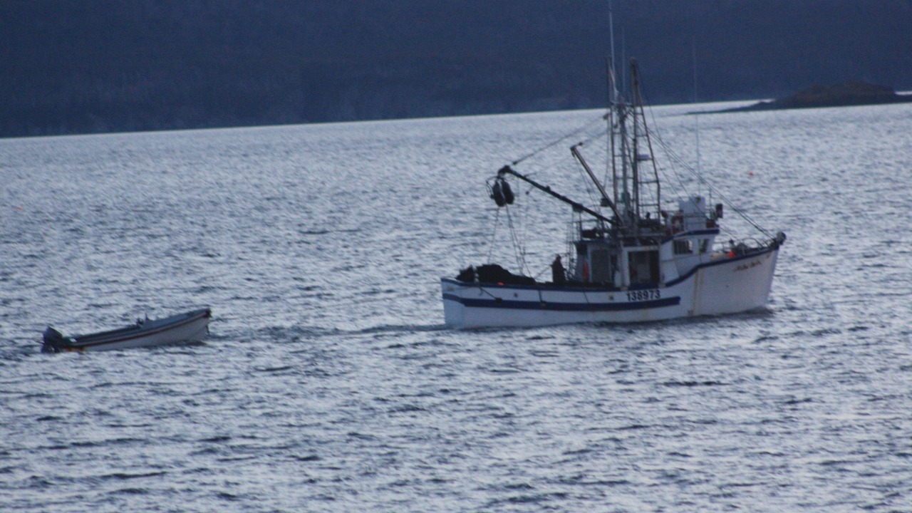 Photo of Others in Dildo