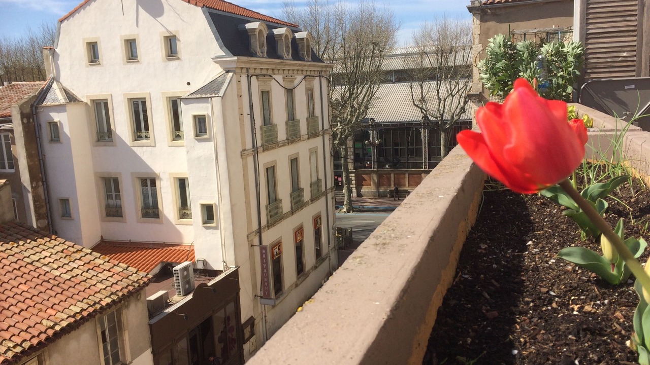 Photo of Outdoor in Les Halles - Valliere