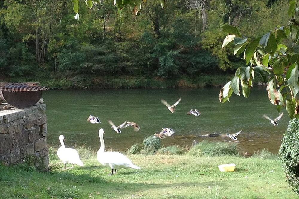 Photo of Outdoor in Brousse-le-Chateau