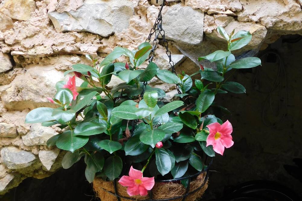 Photo of Outdoor in Mirmande