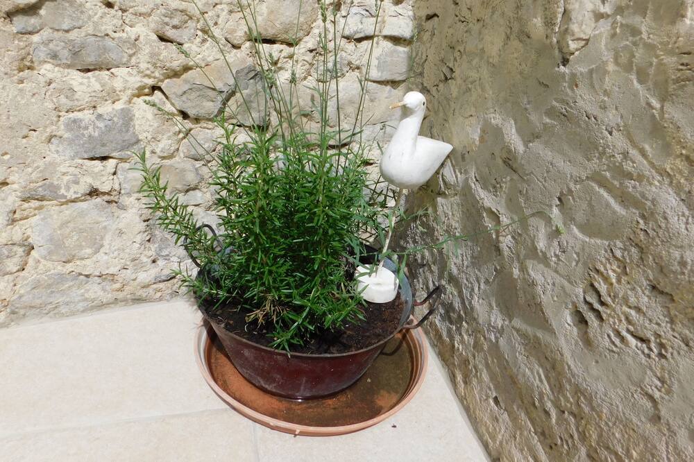 Photo of Others in Mirmande