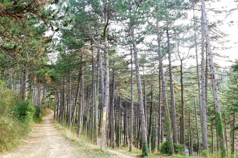 Photo of Outdoor in Mirmande