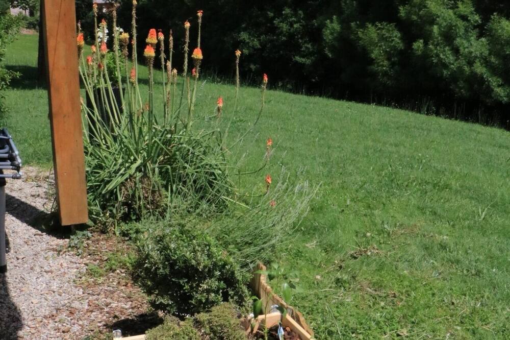Photo of Outdoor in Saint-Geniez-d'Olt