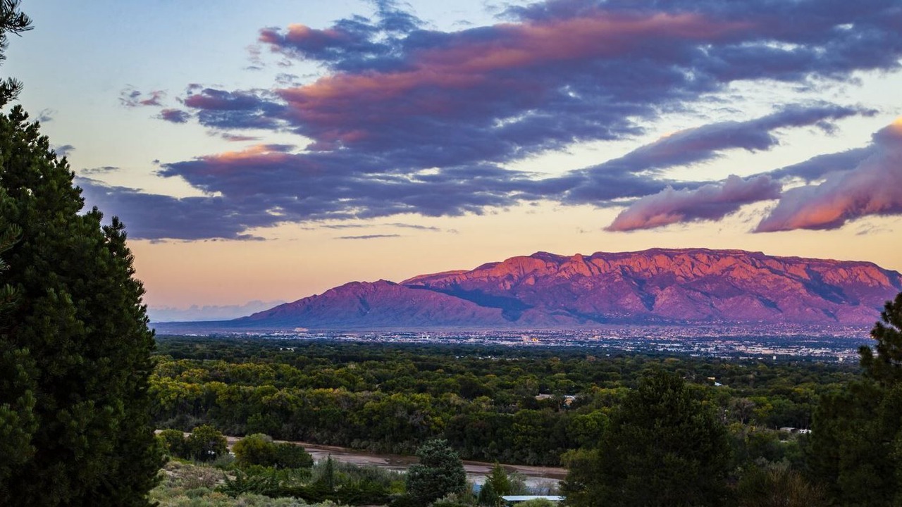 Photo of Others in North Albuquerque Acres