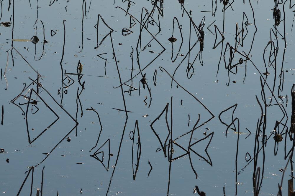Photo of Outdoor in Jasper