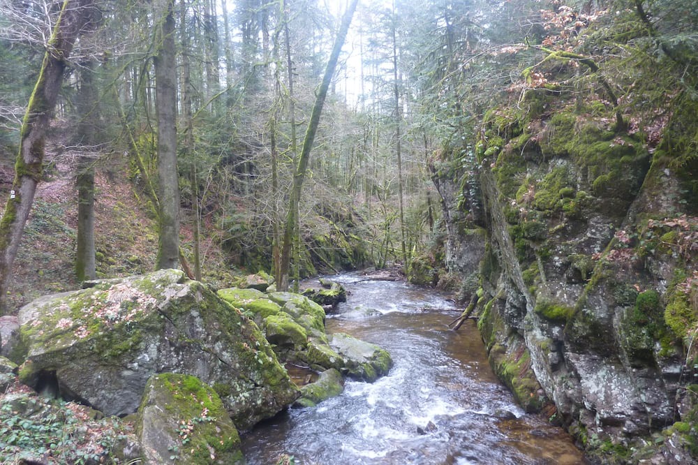 Photo of Outdoor in Le Tholy