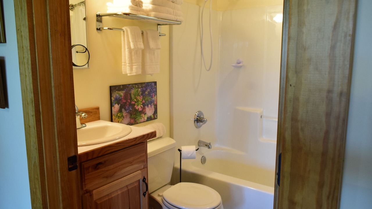 Photo of Bathroom in Ore City