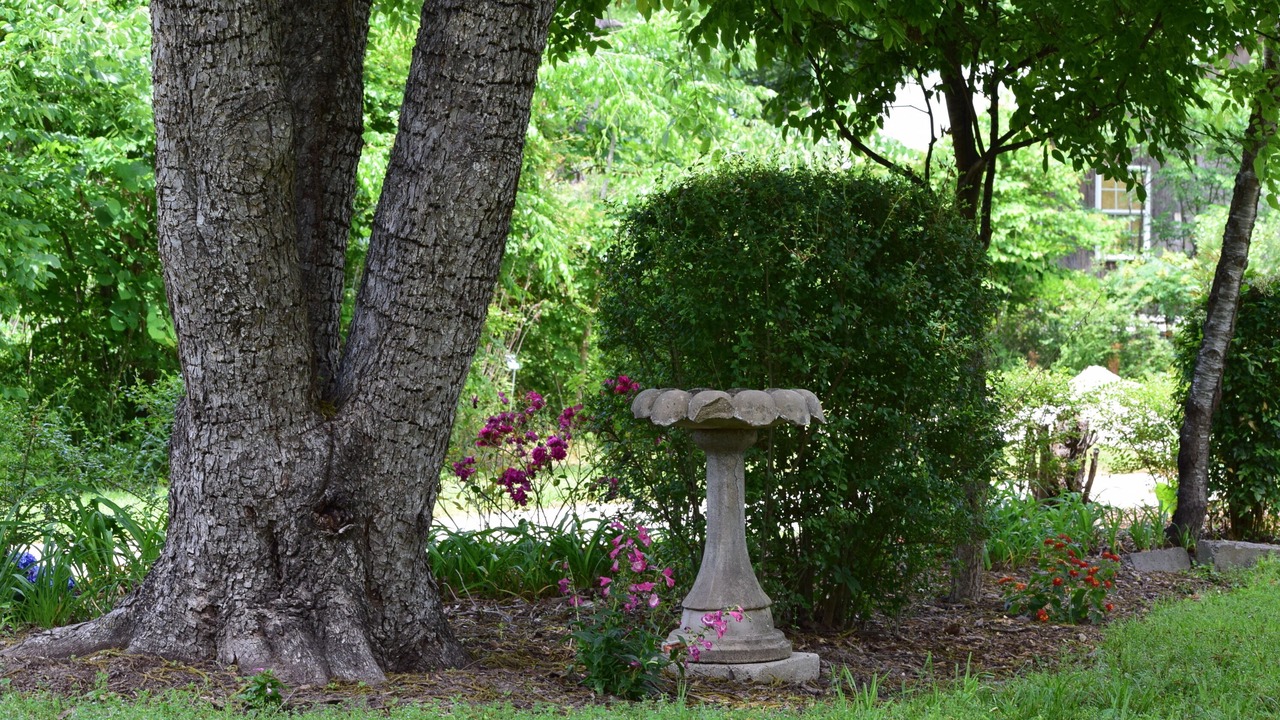 Photo of Outdoor in Ore City