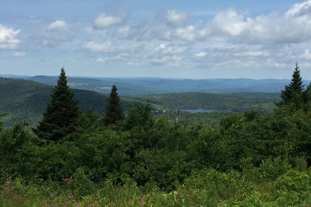 Photo of Outdoor in Pittsburg