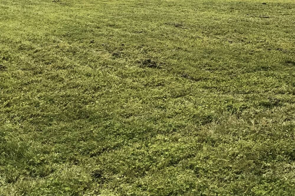 Photo of Others in Pittsburg