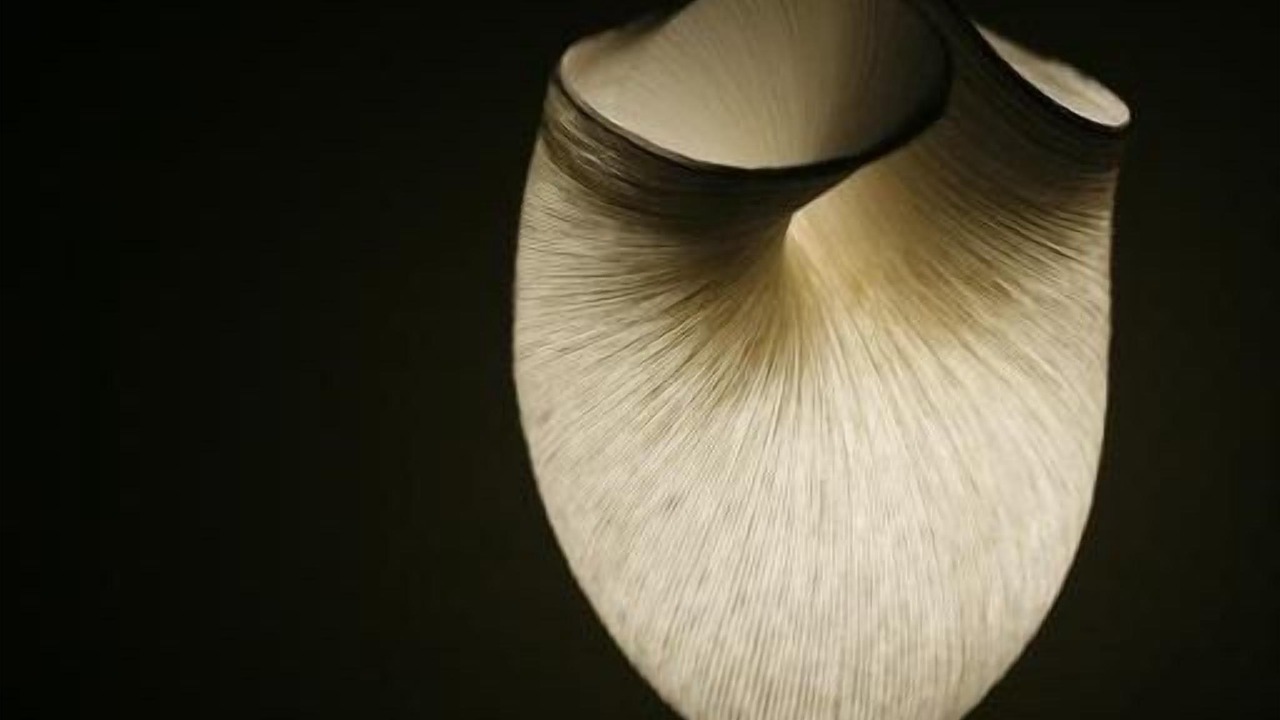 Photo of Others in Les Arceaux