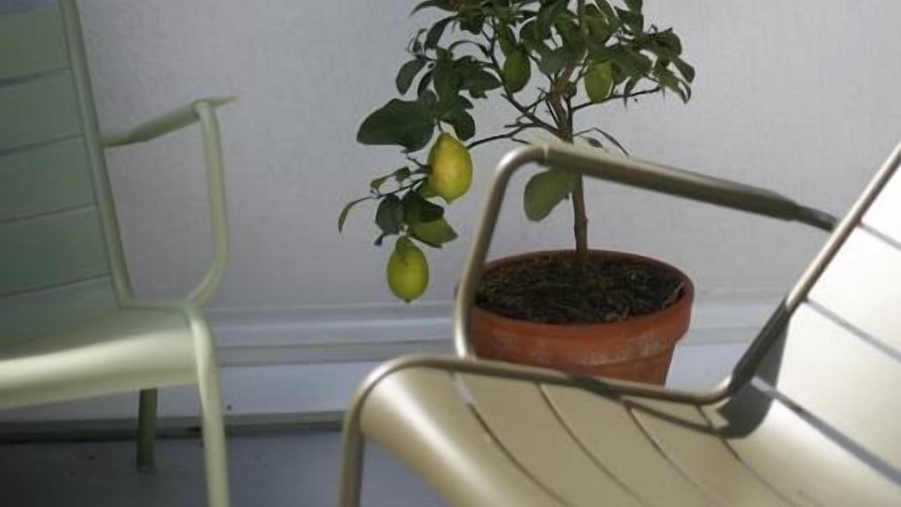 Photo of Outdoor in Les Arceaux